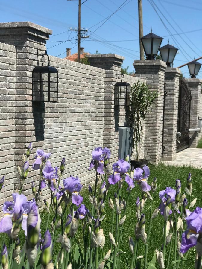 Eden Apartman Algyo Екстериор снимка